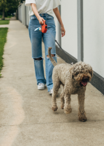 Good Neighbor Tip: Different vs. Suspicious. A girl walks her dog in he neighborhood.