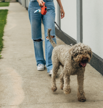 Good Neighbor Tip: Different vs. Suspicious. A girl walks her dog in he neighborhood.